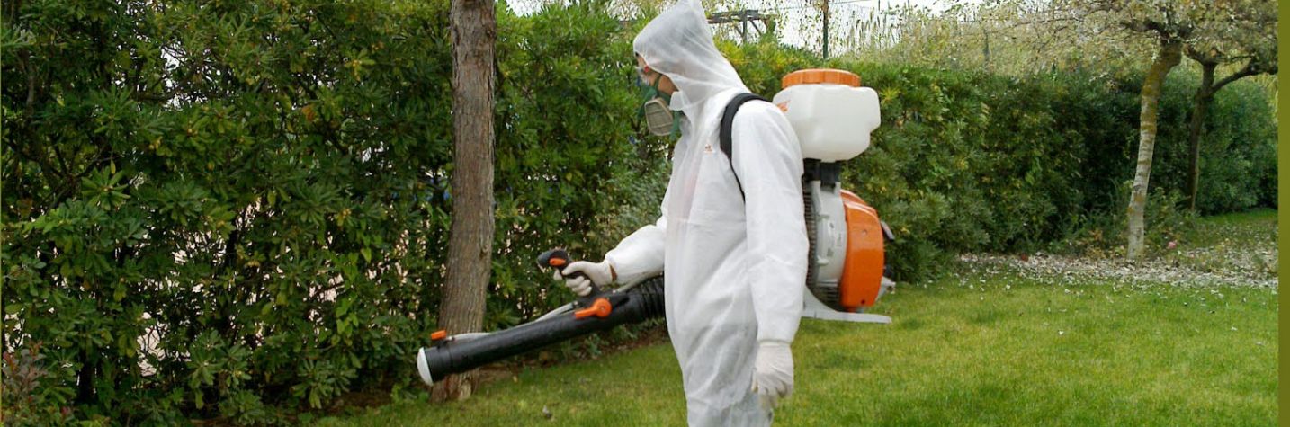 Ecotigullio