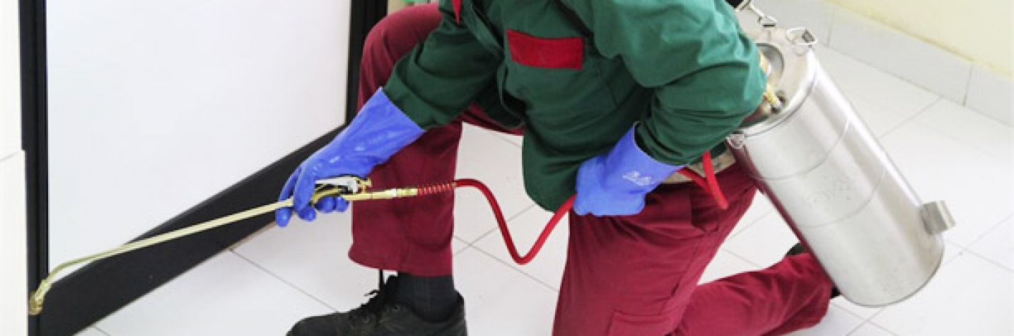 Sanifica il tuo ambiente di lavoro - Sanificazioni Chiavari Rapallo Sestri Levante Genova  Lavagna  Santa Margherita Ligure